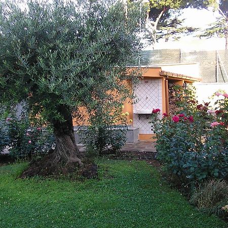 Al Vecchio Olivo Bed & Breakfast Фраскати Екстериор снимка