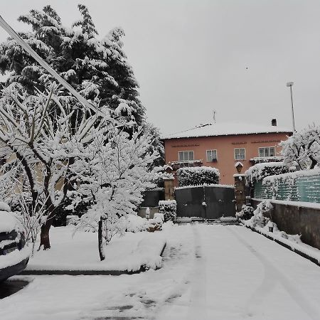 Al Vecchio Olivo Bed & Breakfast Фраскати Екстериор снимка