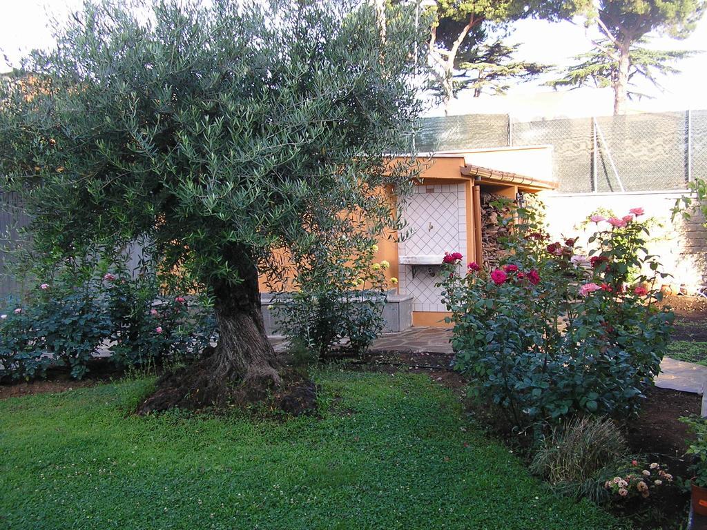 Al Vecchio Olivo Bed & Breakfast Фраскати Екстериор снимка