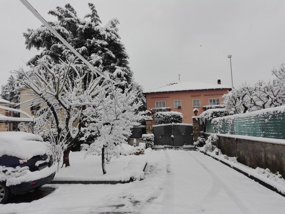 Al Vecchio Olivo Bed & Breakfast Фраскати Екстериор снимка