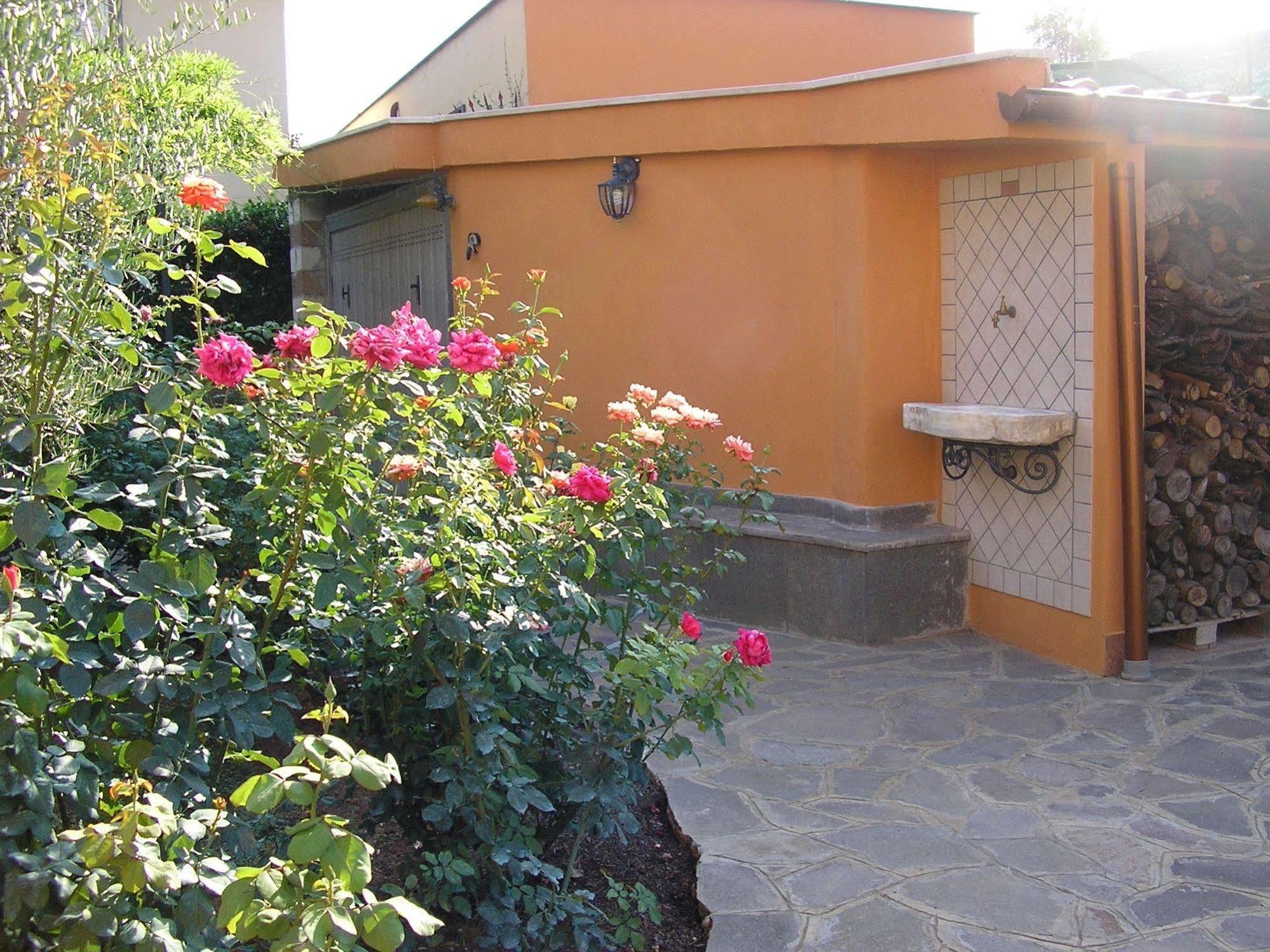 Al Vecchio Olivo Bed & Breakfast Фраскати Екстериор снимка